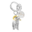 Picture of HOROSCOPE KEYRING - ARIES
